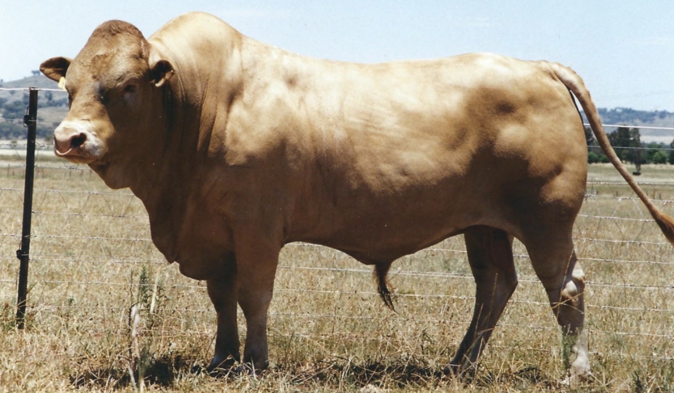 RV INYATI 1843